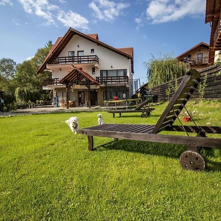 Vila Vibrant Bran  Exterior photo