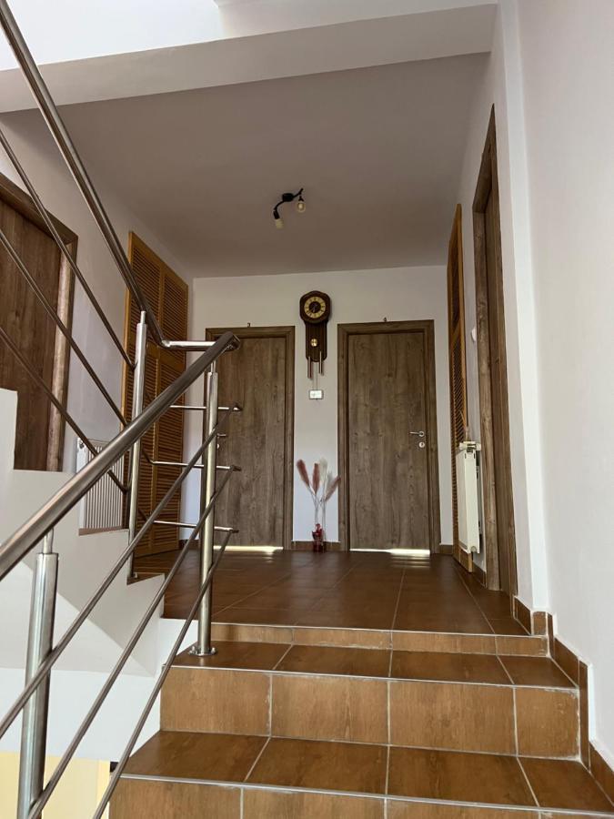 Vila Vibrant Bran  Exterior photo