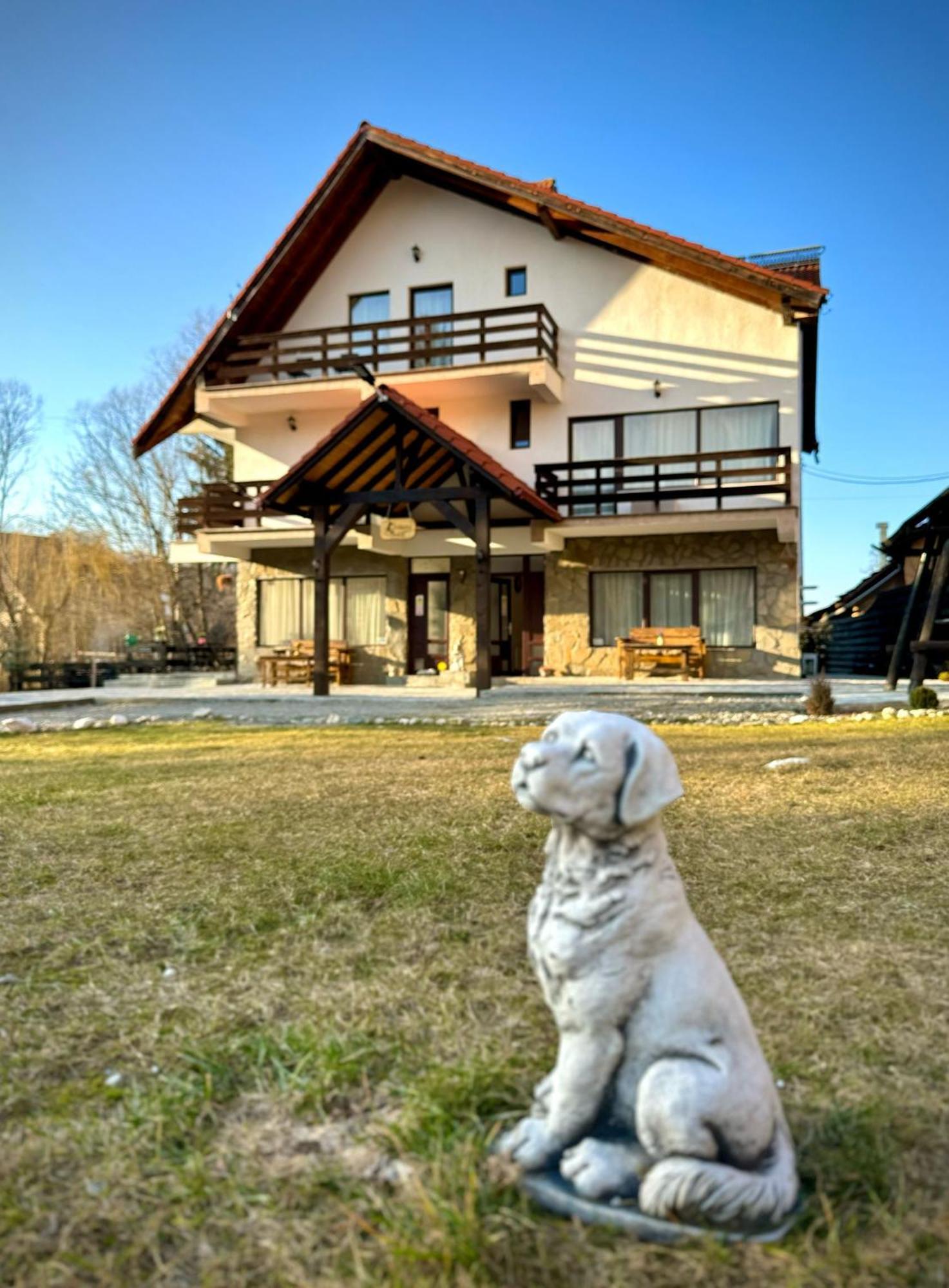 Vila Vibrant Bran  Exterior photo